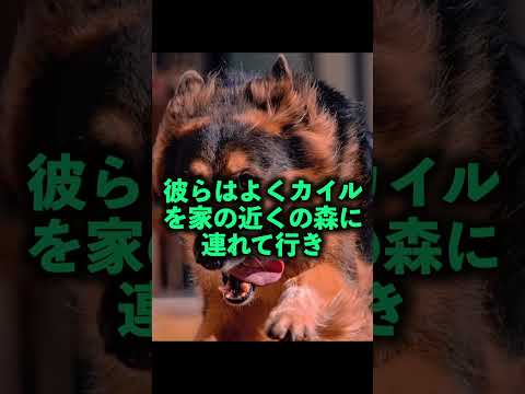 警察犬が木から見つけたものに驚愕、、 #おとうふハウス #都市伝説