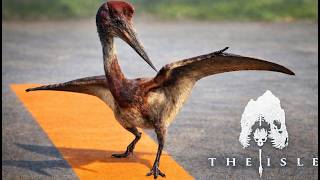 THE ISLE NEWS | DevBlog #67 | Quetzalcoatlus animations, improvement on Bary, Kentro, Ovi etc.