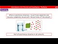 Crystallization and Filtration Concepts