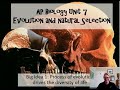 Evolutionary Concepts and Mechanisms