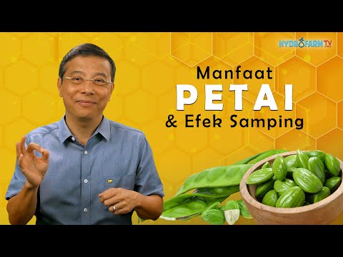 Manfaat PETAI & Efek Sampingnya !!