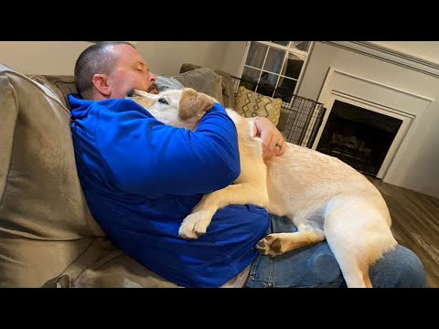 If You Didn't Know How Affectionate Dogs Can Be, Watch THIS...❤️