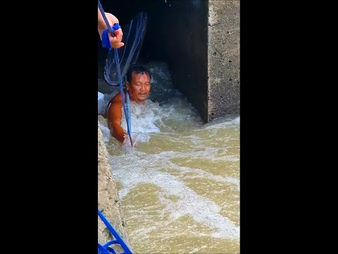 Real Life 100% Net Fishing In River At The Countryside #amazingfishinglife #fishing #fish