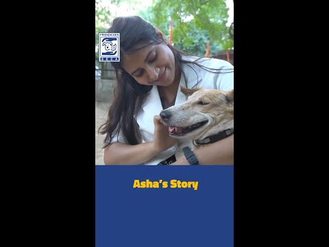 Asha's Story | FRIENDICOES SECA