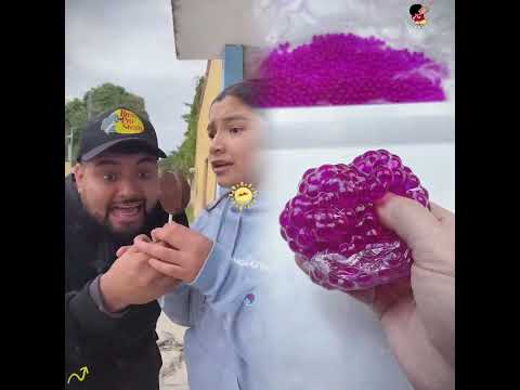 MARIA BELEM Y PALETA SON AMIGOS  TERMINA MAL