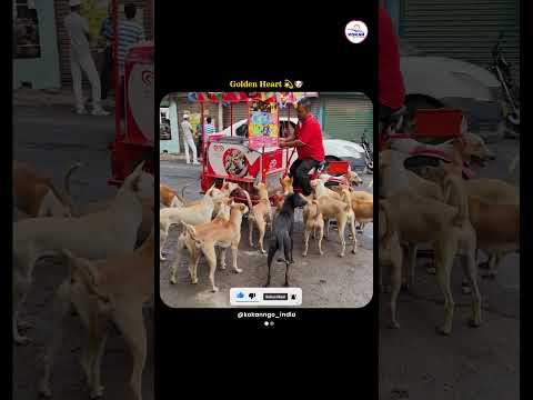 Cycle Wale Uncle Feeding Ice Cream to 25 Street Dogs | Heartwarming Moment of Kindness #shorts