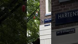 Street Art Frankey scavenger hunt part 1 | I amsterdam