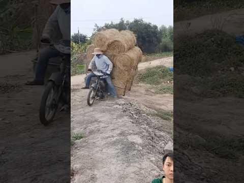 Xe Rom Viet Nam. #funny #automobile #clips #shorts