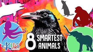 8 Smartest Animals in the World. Learn Animals for Kids