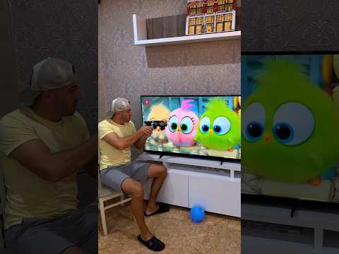 Angry birds funny moment🤣🤣 #vitoxtv #angrybirds #funny #comedyshorts