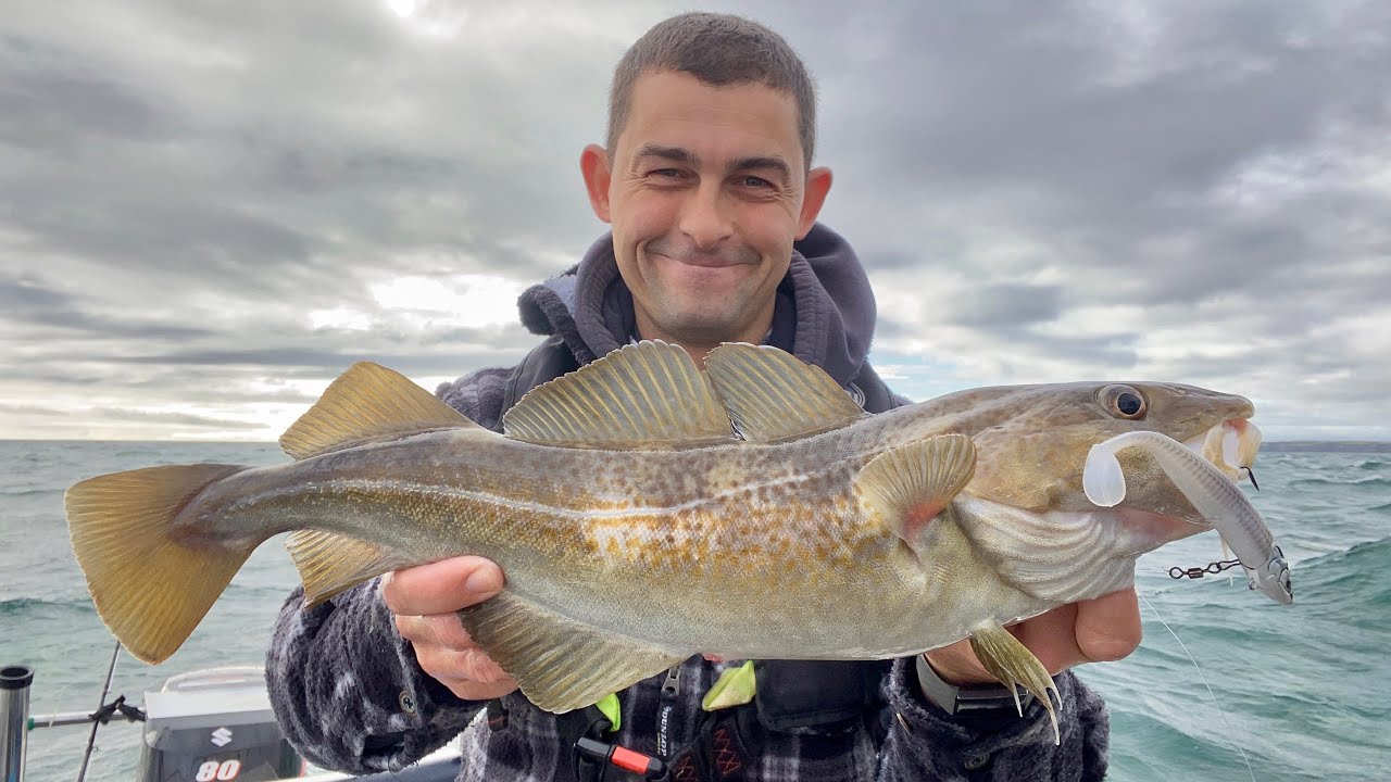 Fishing for Cod, Bass and Pollack with Lures - Sea Fishing UK - The Fish Locker