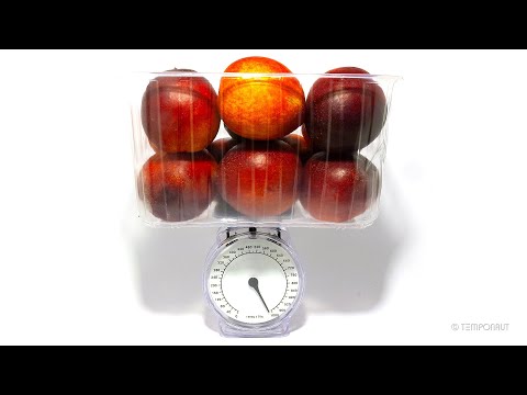 Rotting Nectarines Timelapse