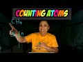 Counting Atoms in Chemical Formulas