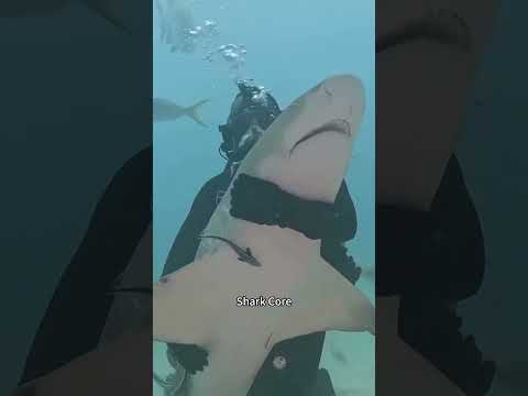 Donโt click the sound ๐ฅ๐โ๐ฝ