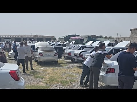 2-qism DENOV AVTO BOZORIDAGI NARXLAR 14.09.2025y