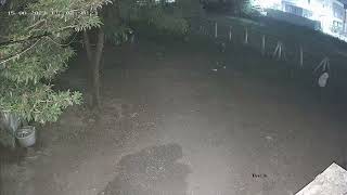 Theft, August 15, 2023, Kedgaon, Ahmednagar. Stealing chickens. Beware of Robbers