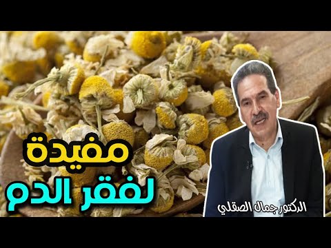 فوائد رهيبة لهذه العشبة الزهرية في فقر الدم   -   الدكتور جمال الصقلي   -