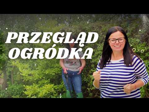 PRZEGLĄD OGRÓDKA  | Kasia in