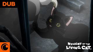 Como viver sem nunca mais fazer carinho em um gato? 😿 | Nyaight of the Living Cat