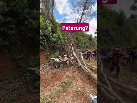 Petarung? #balapmotor #roadrace #fypシ゚