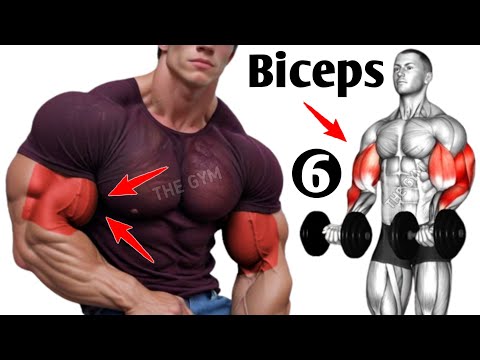 Biceps Workout At Gym ( 6 Effective Exercises )