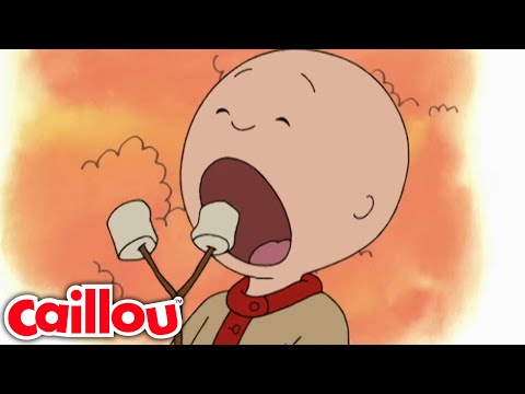 Caillou kempingezni megy | Caillou Magyarul - WildBrain
