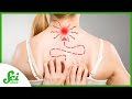 Understanding Itch and Pain