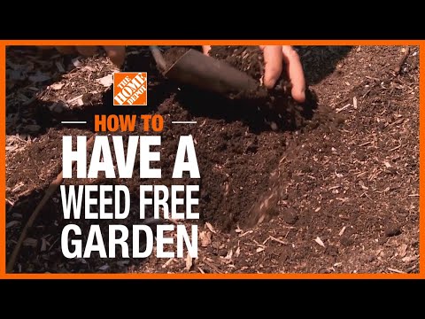 How to Have a Weed Free Garden