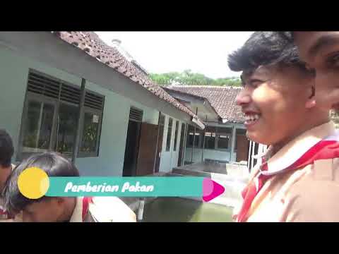 Inspirasi! Sekolah Penggerak: Dari Kolam Lele Jadi