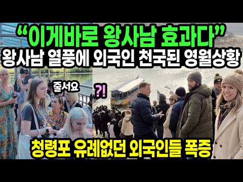 “이게바로 왕사남 효과다” 왕사남 열풍에 외국인 천국된 영월상황 // 영월 유학생도 폭증