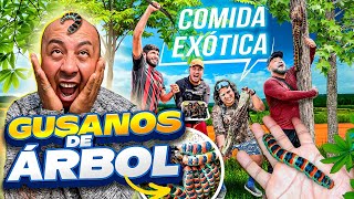 HICIMOS UNA RECETA EXÓTICA | GUSANOS DE ÁRBOL CON EL CREW RETOJORJAIS 