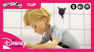 Miraculous | La Solution | Disney Channel Belgique