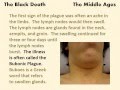 Impact of the Black Death
