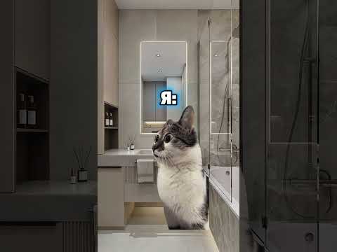 скачать футажи в тг канале, ссылка в шапке профиля 🔥