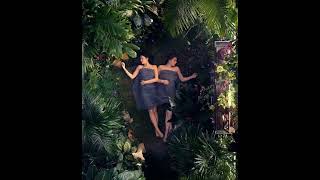 Hailee Steinfeld - The Snake - Emily Dickinson