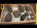 Significance of Ancient Stone Tools