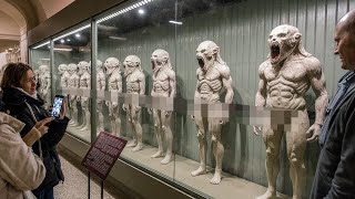 El Museo más Prohibido del Mundo, Donde Casi Nadie Puede Entrar