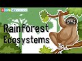 Exploring Tropical Rainforest Ecosystems