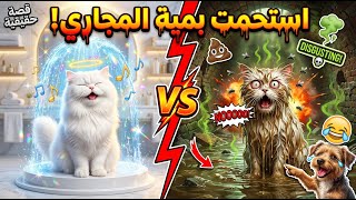 لما القطة اكتشفت انها بتستحمى في مية مجاري مش مية عادية 💩 رد فعل صادم