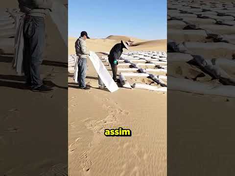 Como estão plantando árvores no DESERTO! #curioso #incrivel #interessante