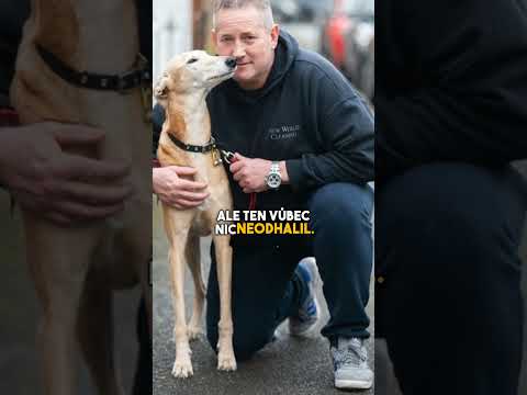 Tenhle pes je pořádný číslo #shorts #facts #viralvideo