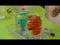 Exploring Water Temperature and Density