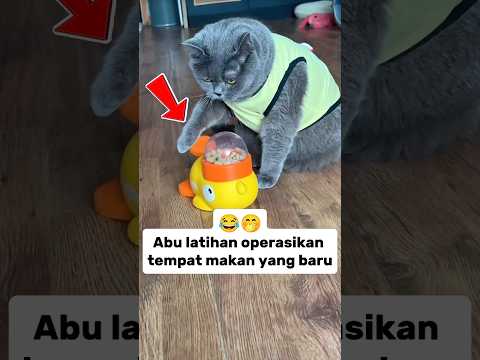 Abu latihan operasikan tempat makan😂🤭#feedshorts #kucinglucu #funnyshorts