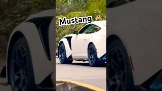 What Kind Of Mustang 🐴 is That? #mustang #ford #cars