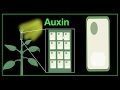 Plant Hormones and Their Functions