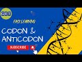 RNA and Protein Synthesis Concepts