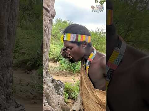 5 ต้นไม้สุดประหลาดของโลก #ฟังดิ #ที่สุด #top5 #ต้นไม้ #แปลก