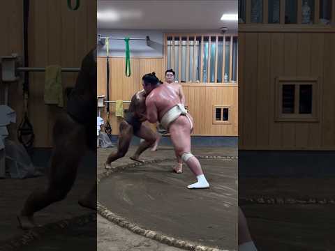 The life of a sumo wrestler is not easy. #shorts