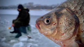 видео