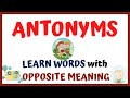 Antonyms and Opposites in Vocabulary